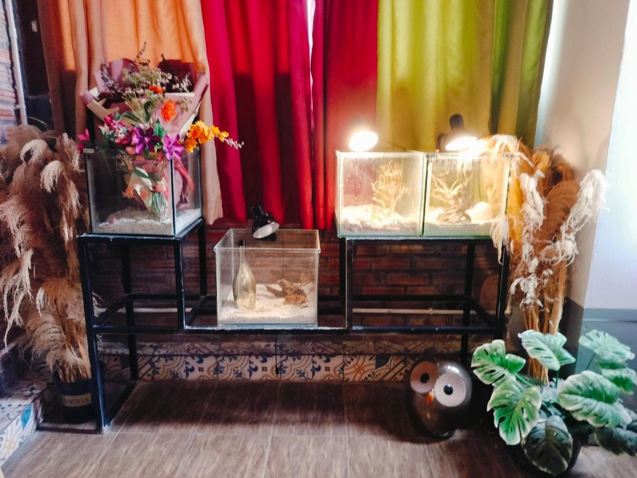 Cozy Fun Homestay 16 Hanoï Extérieur photo